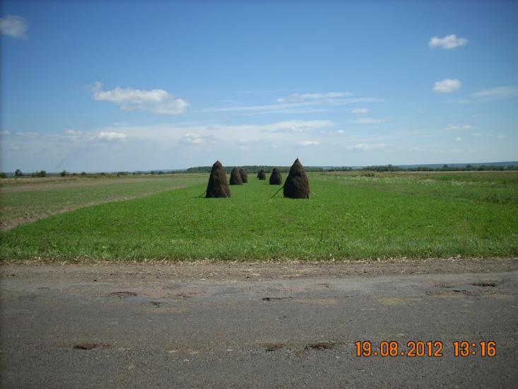 Негівці з panoramio.com - Негівці