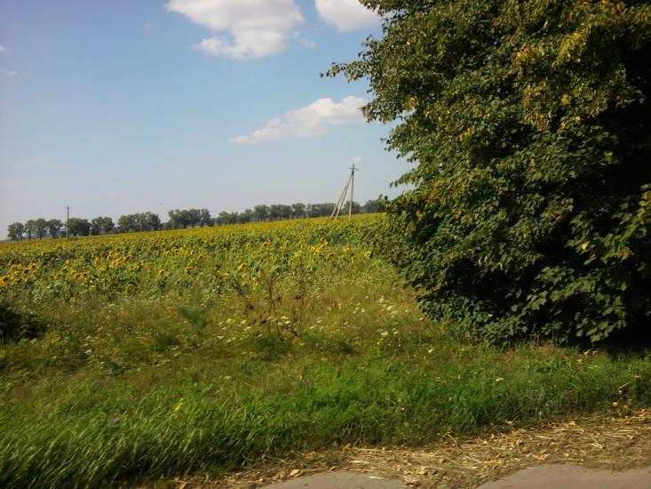 Терехівка з panoramio.com - Тереховка