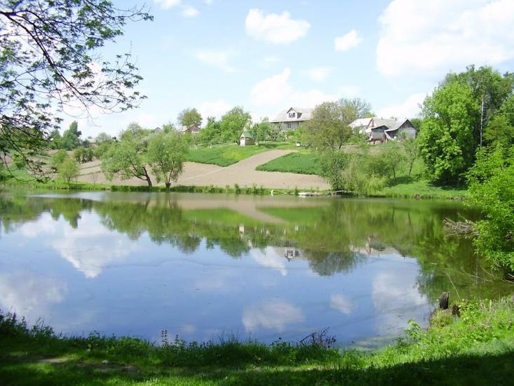 Зарванці з panoramio.com - Зарванцы