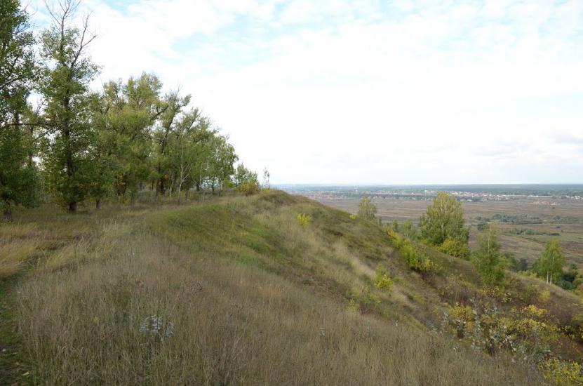 Великі Дмитровичі з panoramio.com - Великі Дмитровичі