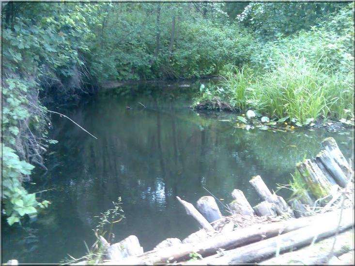 Кушкине з panoramio.com - Кушкино
