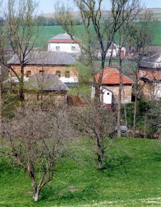 Добринів з panoramio.com - Dobryniv