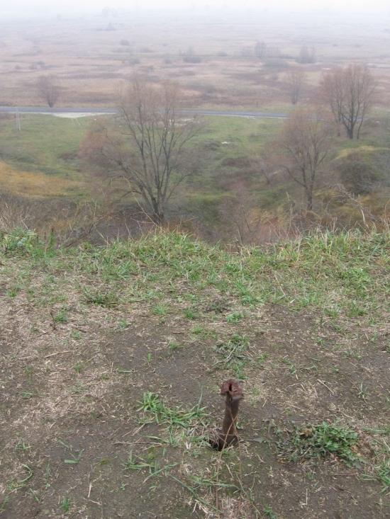 Велика Чернеччина з panoramio.com - Велика Чернеччина