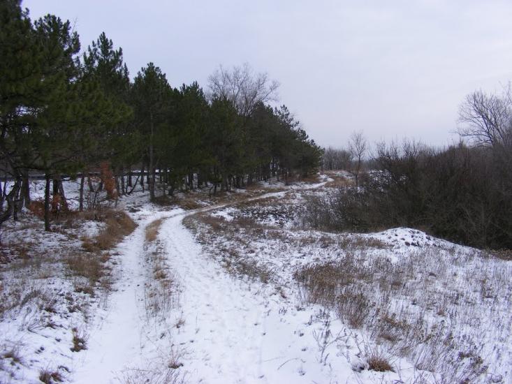 Придніпровське з panoramio.com - Придніпровське
