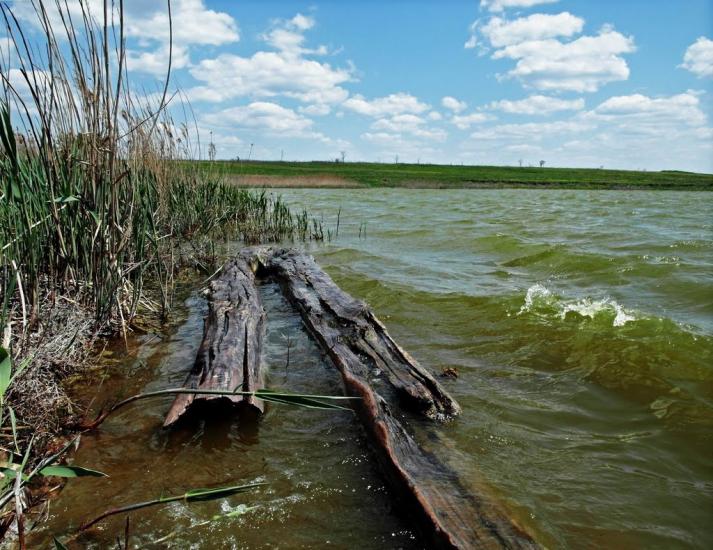 Братсько-Семенівка з panoramio.com - Братско-Семеновка