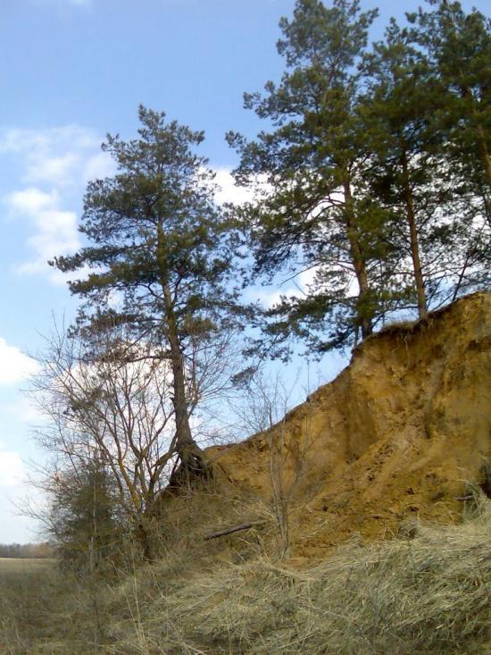 Гамаліївка з panoramio.com - Гамаліївка