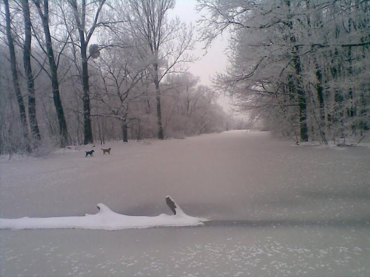 Вінкове з panoramio.com - Винковое