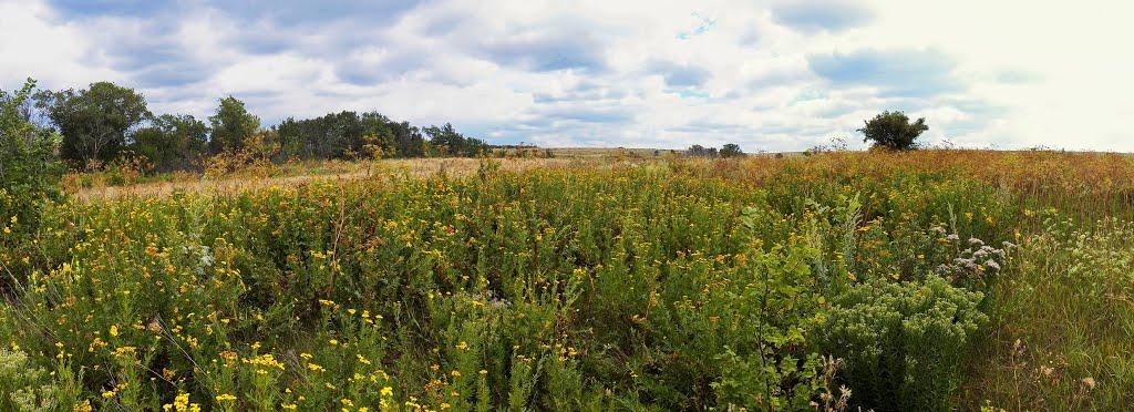Чорнухине з panoramio.com - Чернухино