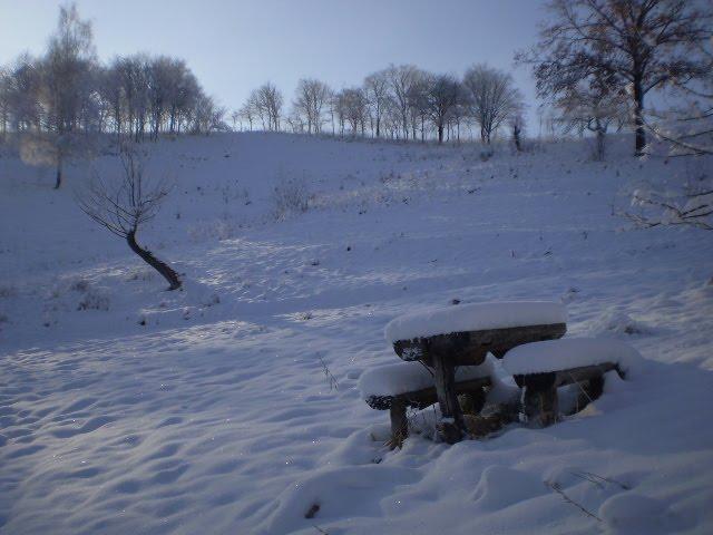 Сунки з panoramio.com - Sunky