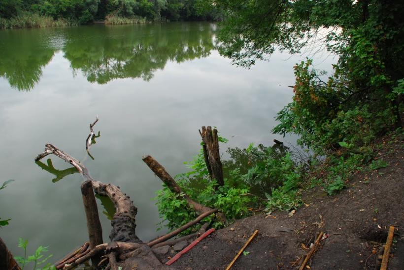 Синельникове з panoramio.com - Синельникове