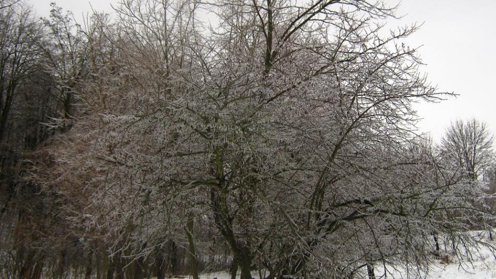 Чорномин з panoramio.com - Чорномин