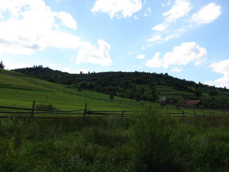 Люта з panoramio.com - Люта