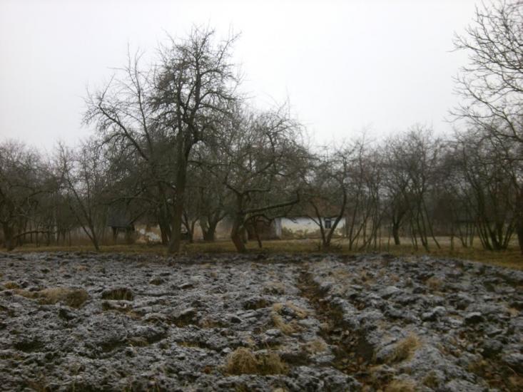 Слобода-Гулівська з panoramio.com - Слобода-Гулівська