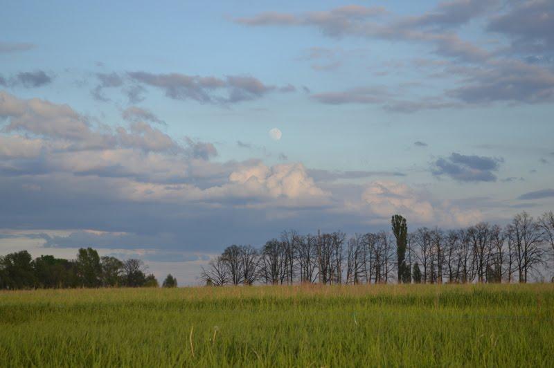 Глибоке з panoramio.com - Глубокое