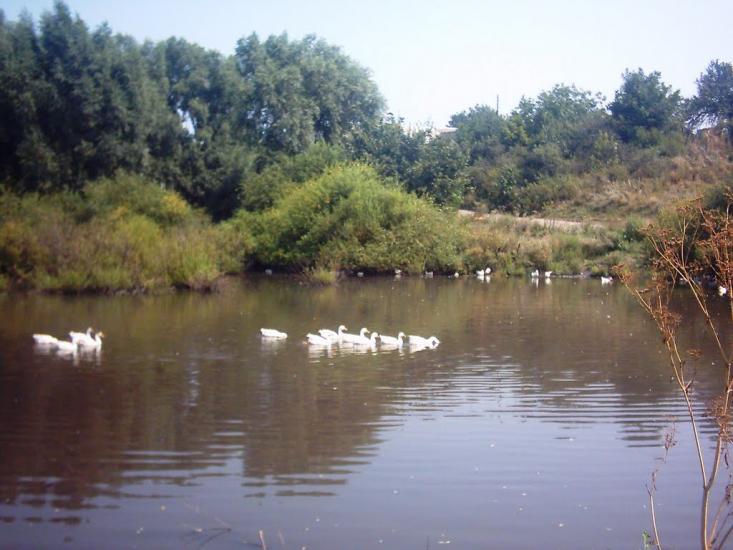 Фащівка з panoramio.com - Фащівка