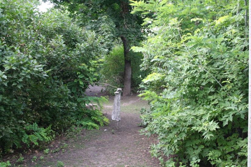 Плетений Ташлик з panoramio.com - Плетений Ташлик