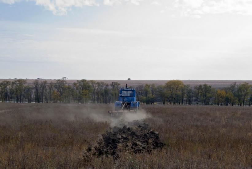 Новомар'янівське з panoramio.com - Новомарьяновское