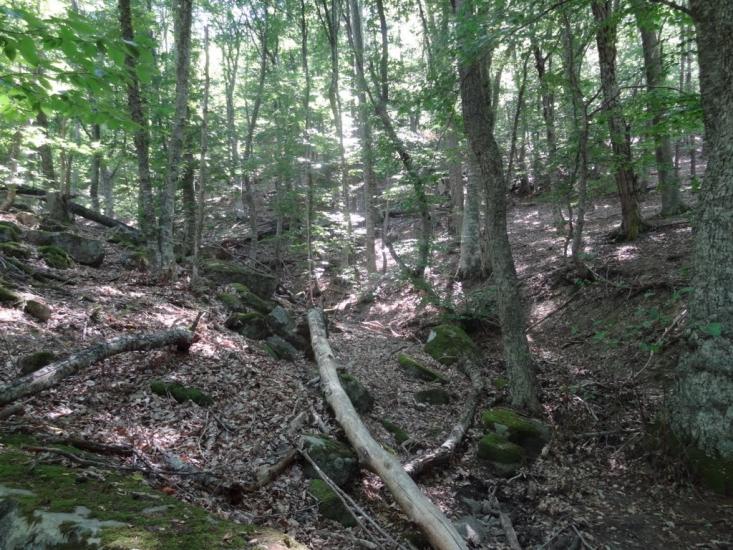 Виноградний з panoramio.com - Vynogradnyy