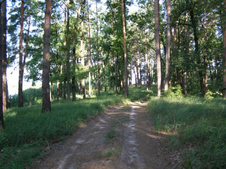 Ліпляве з panoramio.com - Лепляво