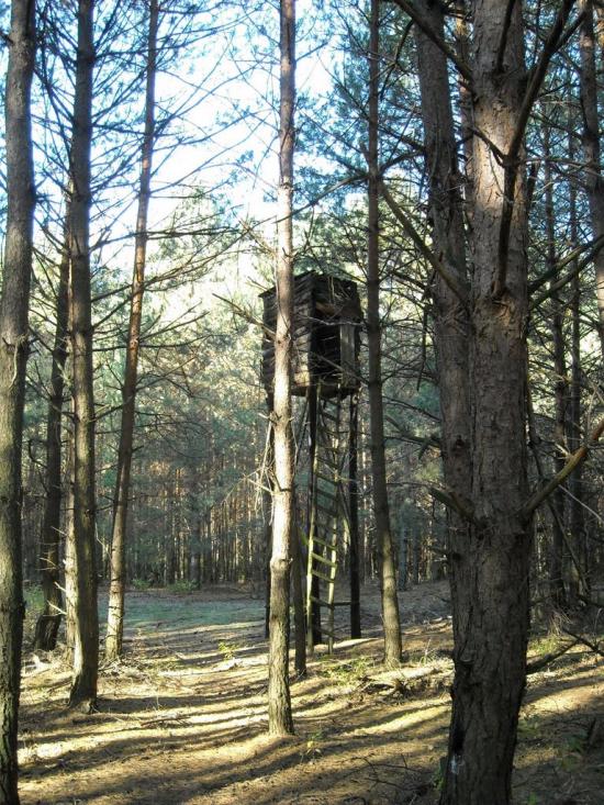 Кошари з panoramio.com - Кошари