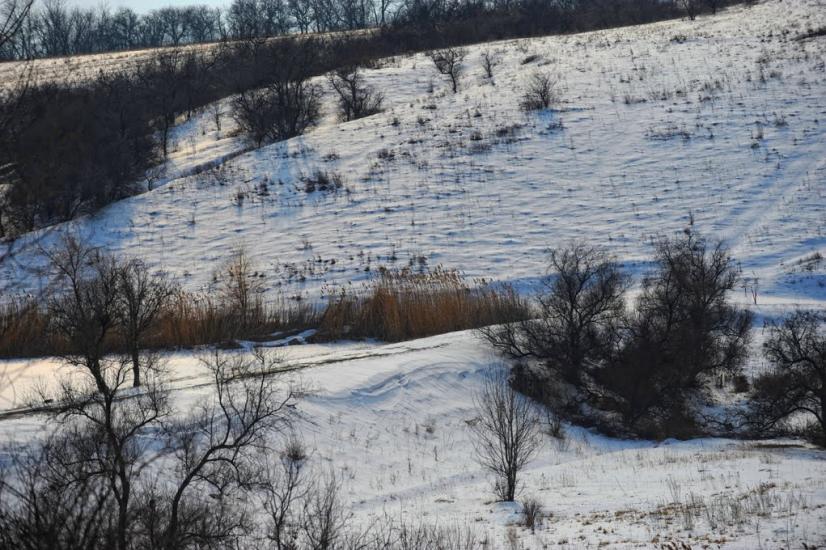 Суха Балка з panoramio.com - Суха Балка
