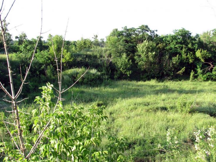 Хорошеве з panoramio.com - Хорошеве