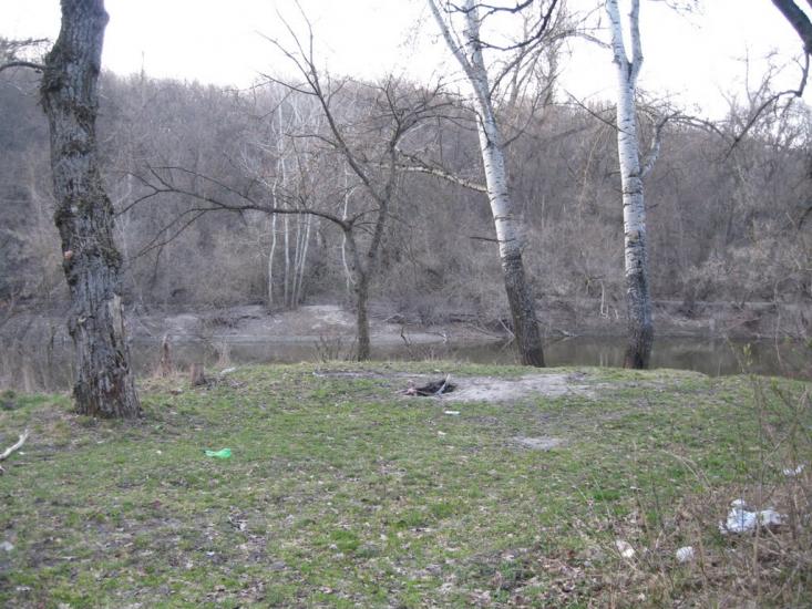 Плавні з panoramio.com - Плавни