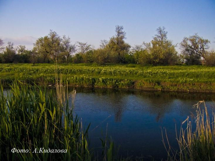 Якимівка з panoramio.com - Акимовка