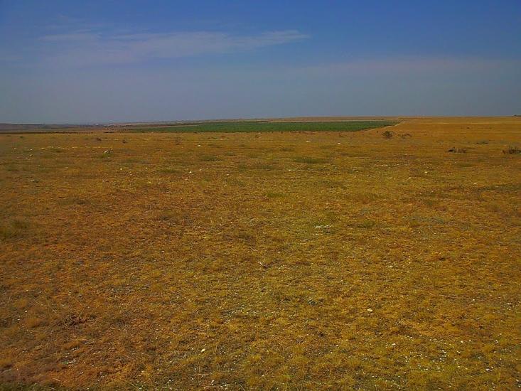 Кочергіне з panoramio.com - Кочергино