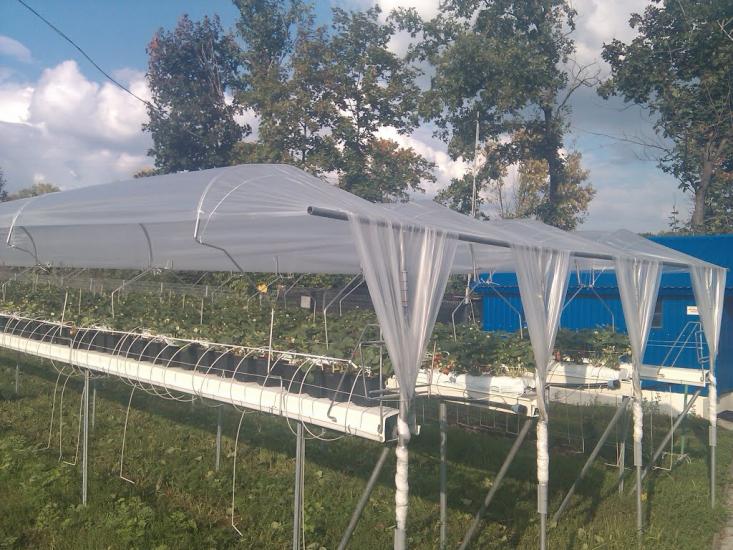 Руська Лозова з panoramio.com - Ruska Lozova