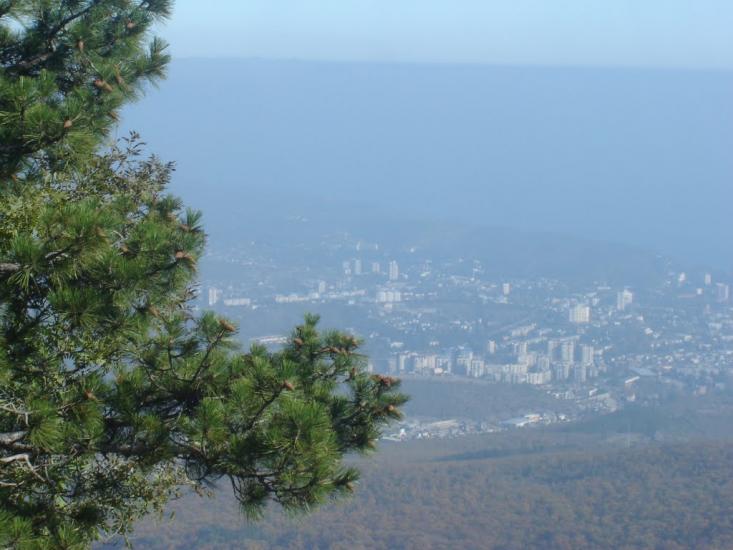 Виноградний з panoramio.com - Виноградний