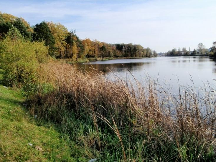 Костопіль з panoramio.com - Костополь
