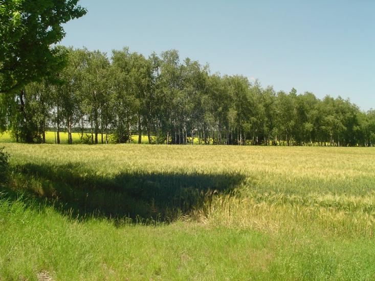 Петрашівка з panoramio.com - Петрашівка
