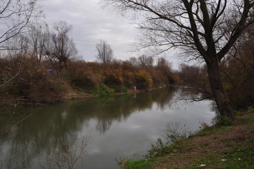 Липиці з panoramio.com - Липицы