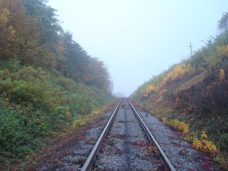 Закупне з panoramio.com - Закупное
