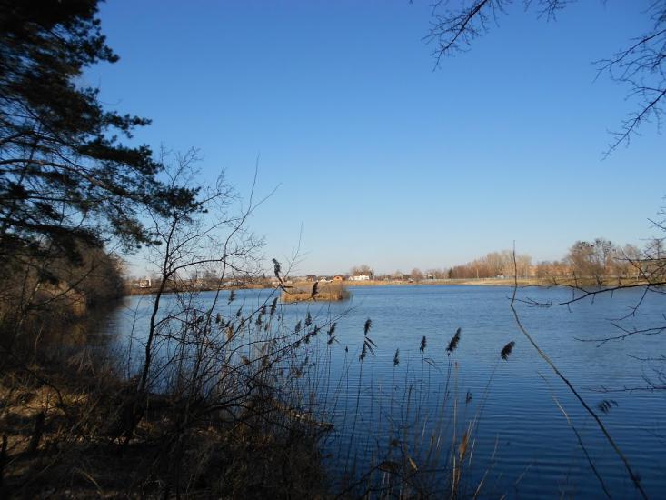 Чапаєвка з panoramio.com - Чапаевка