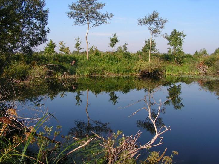 Забужжя з panoramio.com - Забужье