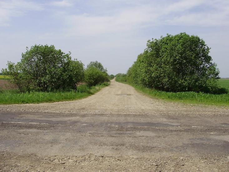 Липиці з panoramio.com - Липиці