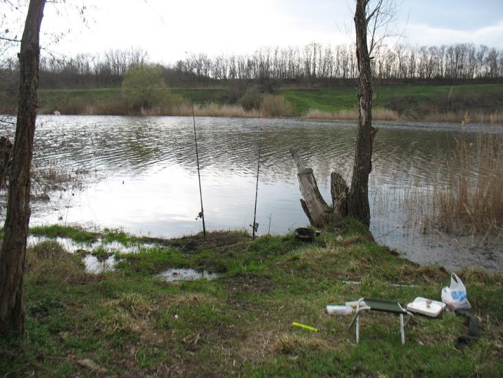 Олександрівка з panoramio.com - Олександрівка