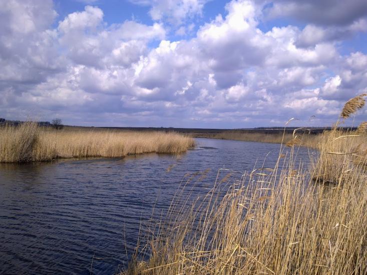 Маївка з panoramio.com - Маевка