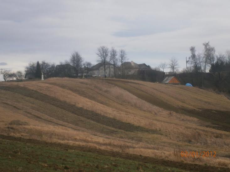 Берездівці з panoramio.com - Берездівці