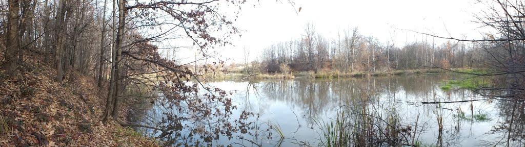 Бондарів з panoramio.com - Бондарев