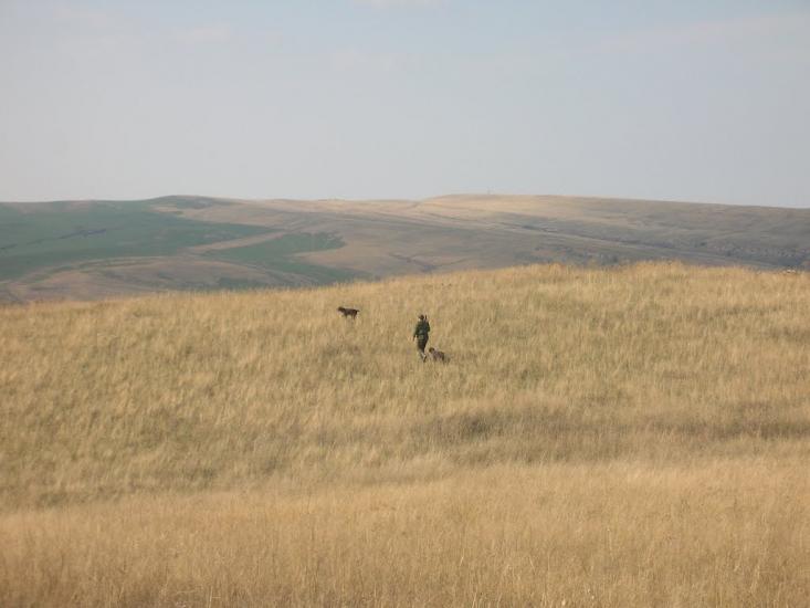 Микишівка з panoramio.com - Микишівка