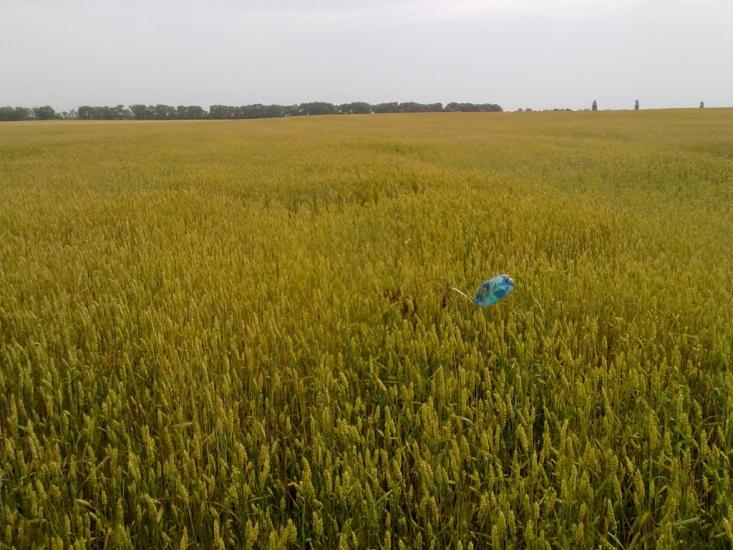 Заїзд з panoramio.com - Заезд