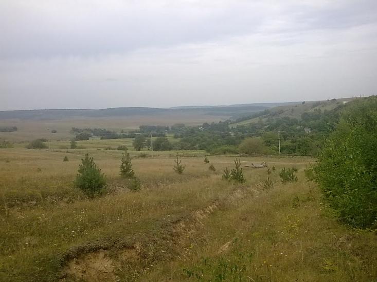 Квіткове з panoramio.com - Kvitkove