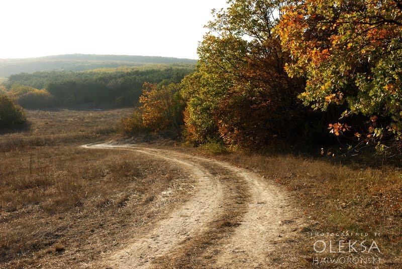 Фронтове з panoramio.com - Фронтове