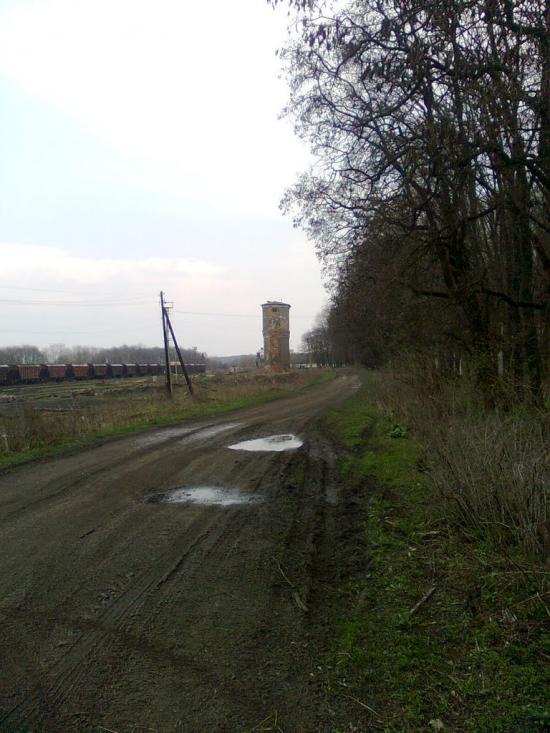 Кельменці з panoramio.com - Кельменці