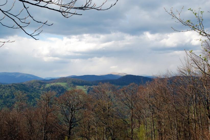 Косівська Поляна з panoramio.com - Косівська Поляна