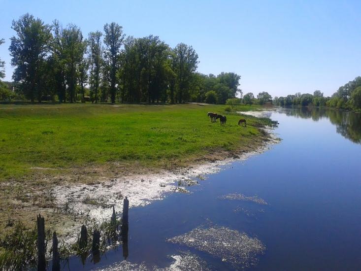 Введенка з panoramio.com - Введенка