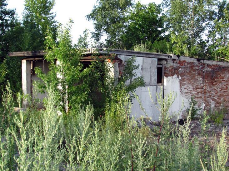 Хорошеве з panoramio.com - Хорошево